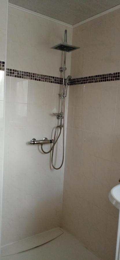 Ok Ferien - Altes Bahnhaus Apartman Muldenhammer Kültér fotó